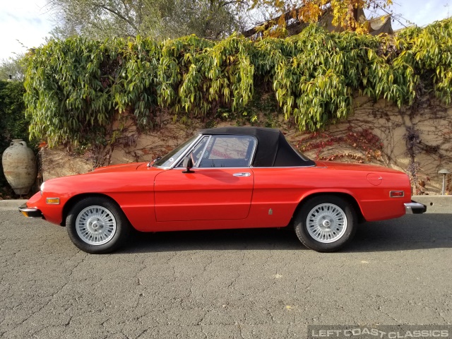 1974-alfa-romeo-spider-005.jpg