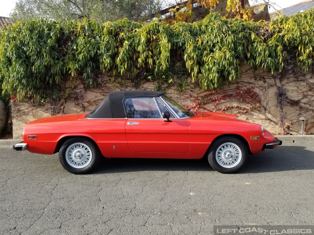 1974-alfa-romeo-spider-014.jpg