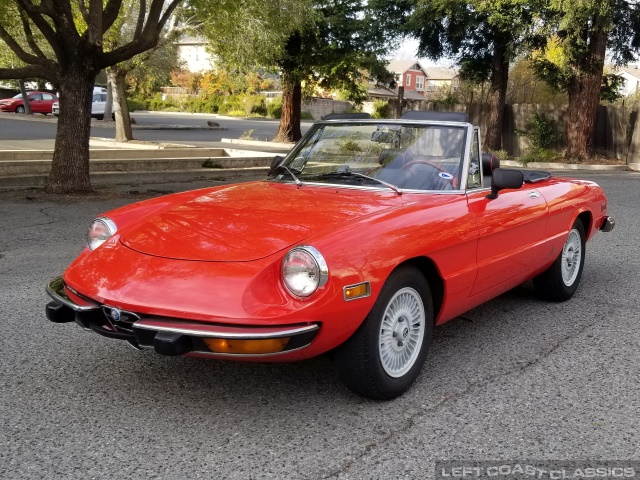 1974-alfa-romeo-spider-179.jpg