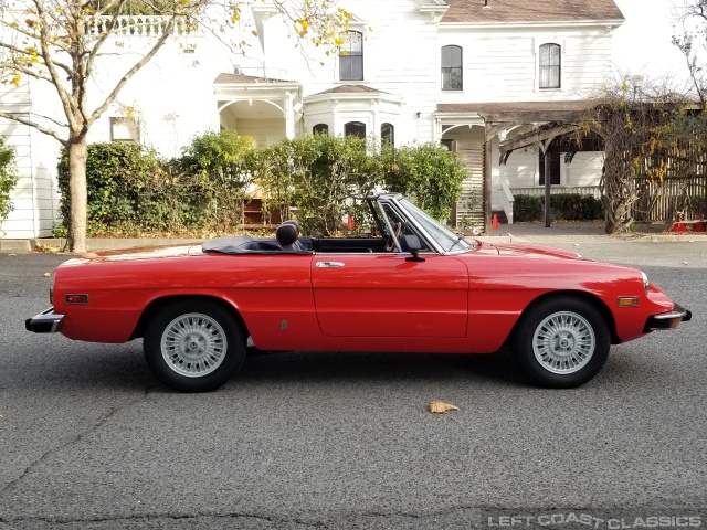 1974-alfa-romeo-spider-183.jpg