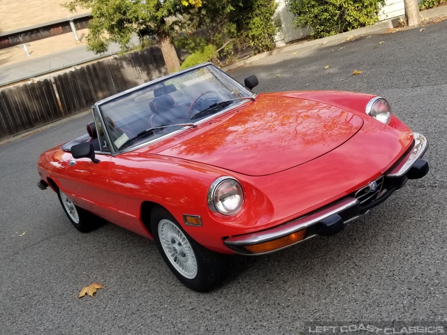 1974-alfa-romeo-spider-184.jpg